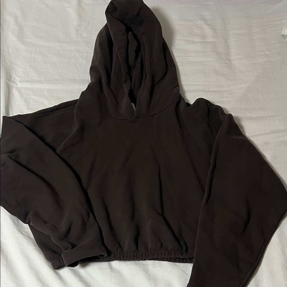 The Group Babaton Dark Brown Vanguard Cropped Hoodie Sweater